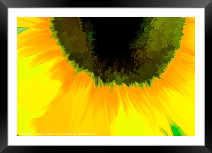 Sunflower Abstract Art Framed Mounted Print by David Pyatt