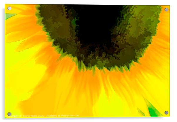 Sunflower Abstract Art Acrylic by David Pyatt