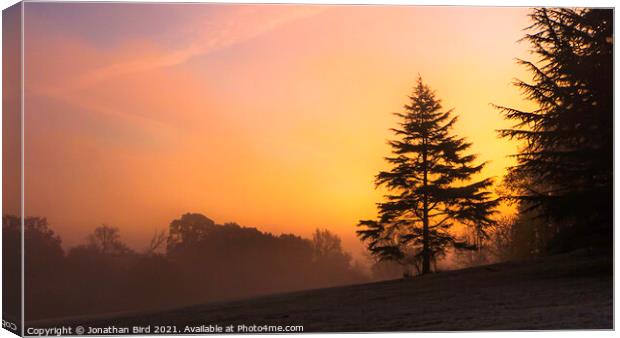 Weald Country Park, Sunrise through the Mist Canvas Print by Jonathan Bird