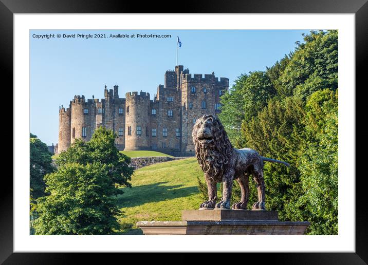 Alnwick Lion Framed Mounted Print by David Pringle