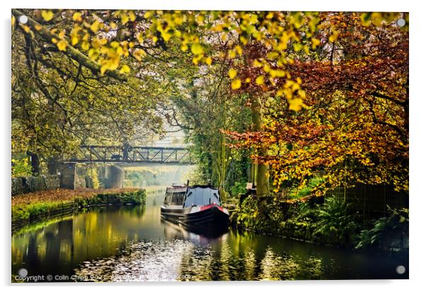 Peak Forest Canal Acrylic by Colin Chipp
