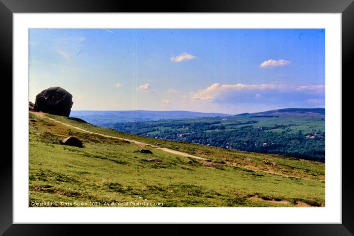 Cow and Calf at Ilkley Moor Framed Mounted Print by Terry Senior