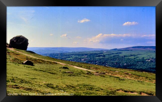 Cow and Calf at Ilkley Moor Framed Print by Terry Senior