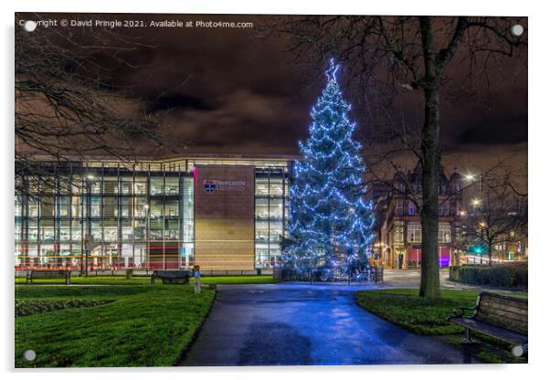 Christmas Tree Acrylic by David Pringle