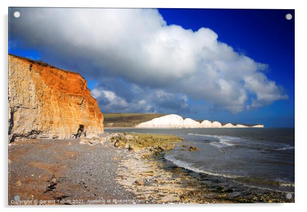 Seven Sisters from Cuckmere Haven, East Sussex Acrylic by Geraint Tellem ARPS