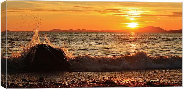 Shell island sunset Canvas Print by Sean Wareing