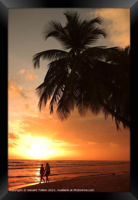 Walkers at sunset, Southern Barbados, Caribbean Framed Print by Geraint Tellem ARPS