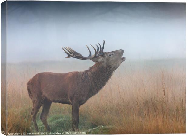 Red Deer Stag bellowing in the mist Canvas Print by Jim Monk