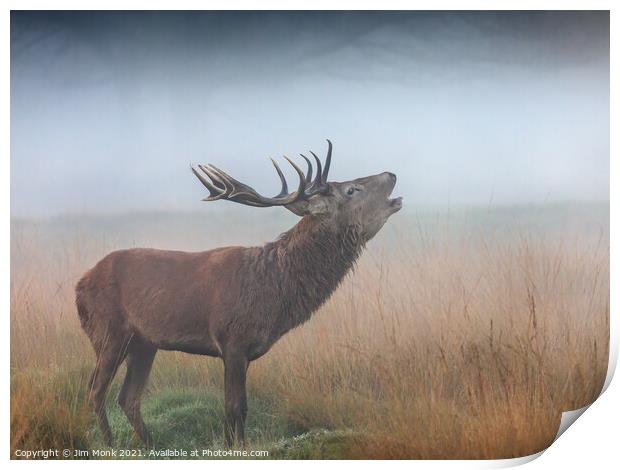 Red Deer Stag bellowing in the mist Print by Jim Monk