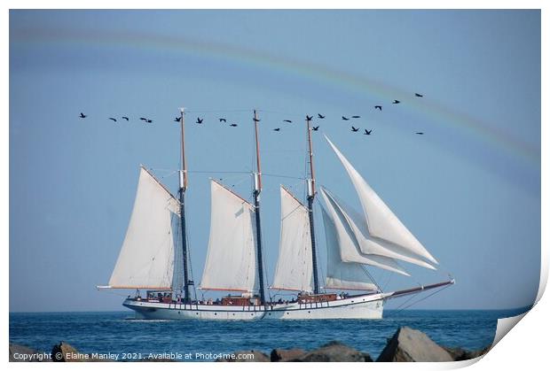 Flying with the Ship Print by Elaine Manley