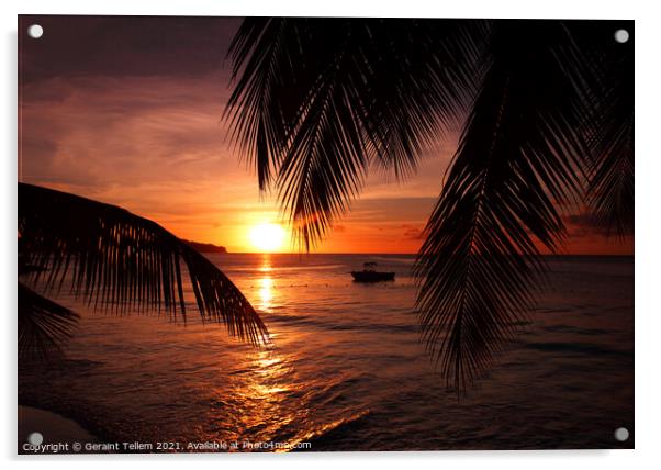 Sunset, St Lucia, Caribbean Acrylic by Geraint Tellem ARPS