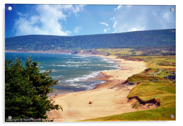 Beach in Inverness  Cape Breton Canada Acrylic by Elaine Manley