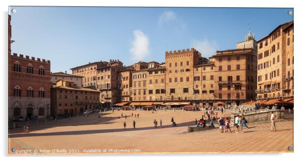 Piazza del Campo, Siena Acrylic by Peter O'Reilly