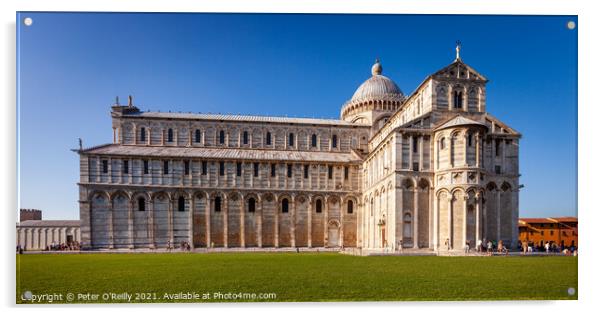 The Cathedral, Pisa Acrylic by Peter O'Reilly