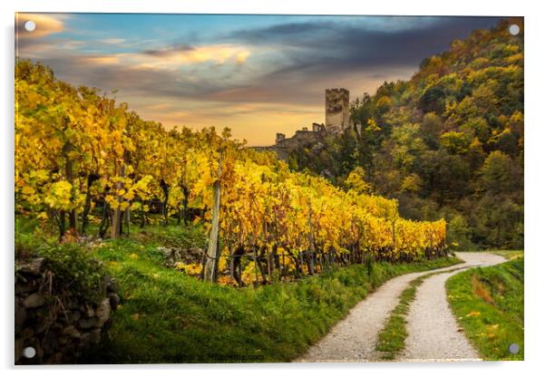 Autumn vineyards against old ruin of Hinterhaus castle in Spitz. Acrylic by Sergey Fedoskin