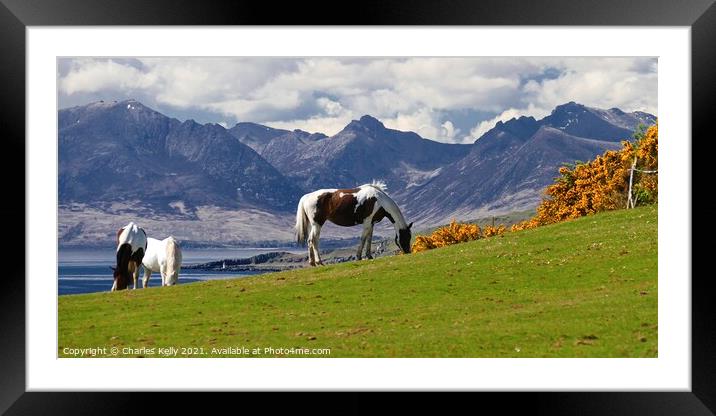 Horses on the Isle of Cumbrae Framed Mounted Print by Charles Kelly