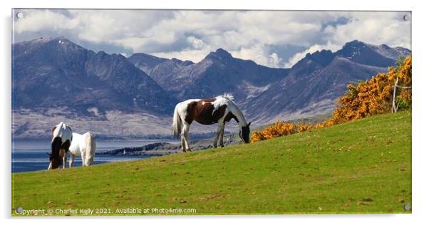Horses on the Isle of Cumbrae Acrylic by Charles Kelly