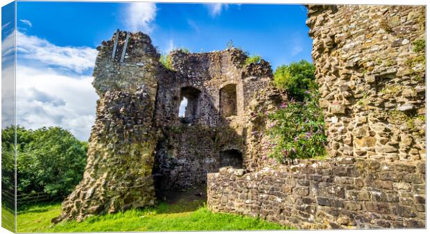 Castle Ruins, Narberth, Pembrokeshire, Wales, UK  Canvas Print by Mark Llewellyn