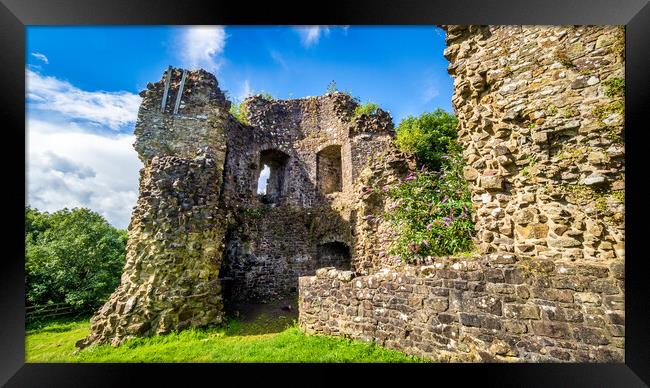 Castle Ruins, Narberth, Pembrokeshire, Wales, UK  Framed Print by Mark Llewellyn