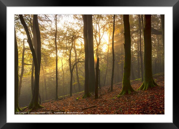 Autumn Forest sunburst Framed Mounted Print by paul reynolds