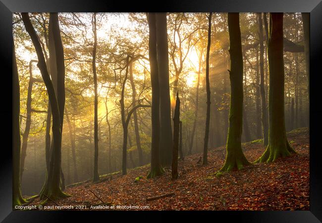Autumn Forest sunburst Framed Print by paul reynolds
