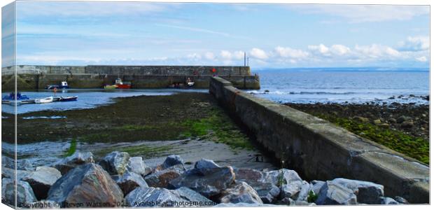 Balintore Harbour Canvas Print by Steven Watson