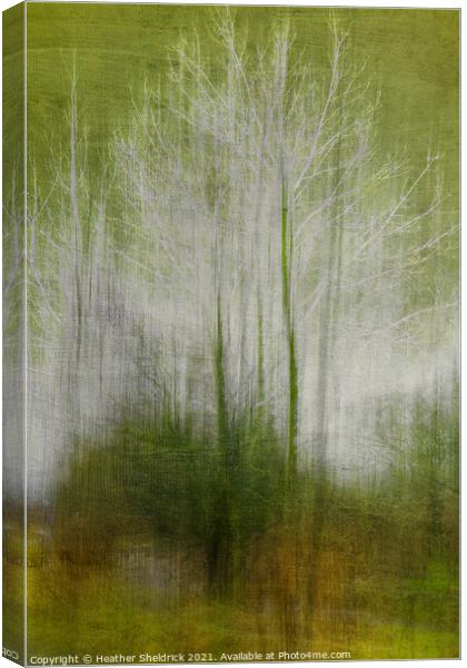Abstract Winter Trees Canvas Print by Heather Sheldrick