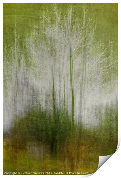 Abstract Winter Trees Print by Heather Sheldrick