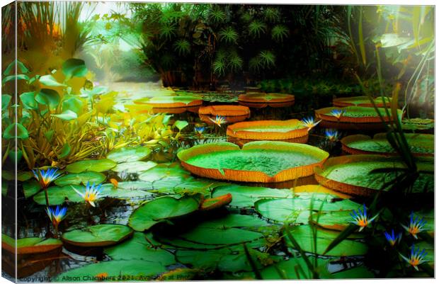 Jungle Lagoon Lily Pads Canvas Print by Alison Chambers