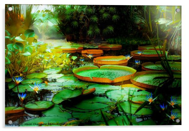 Jungle Lagoon Lily Pads Acrylic by Alison Chambers