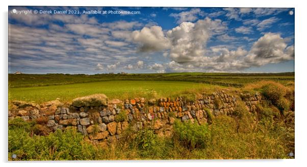 Lichen covered stone wall, Cornwall Acrylic by Derek Daniel