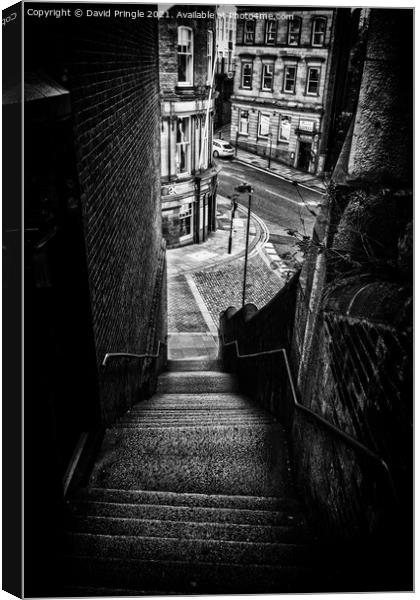 Dog Leap Stairs Canvas Print by David Pringle
