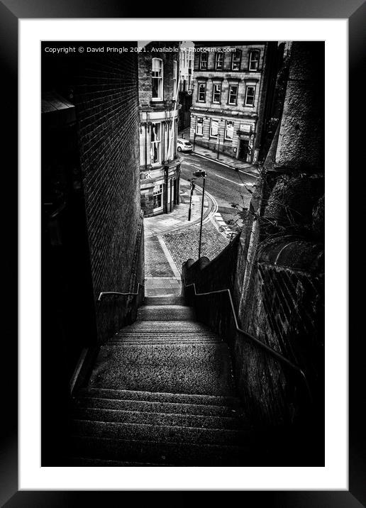 Dog Leap Stairs Framed Mounted Print by David Pringle
