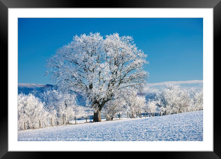 Snow covered tree on frosty morning Framed Mounted Print by Chris Warren