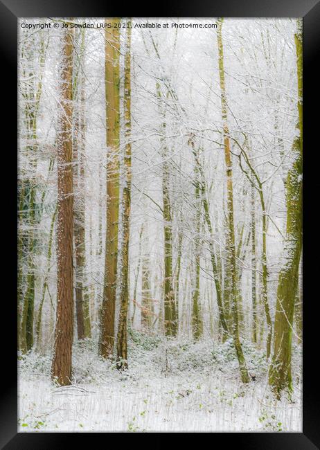 Snowy Woodland, Hertfordshire Framed Print by Jo Sowden