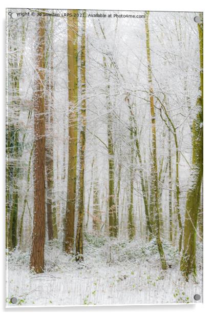 Snowy Woodland, Hertfordshire Acrylic by Jo Sowden