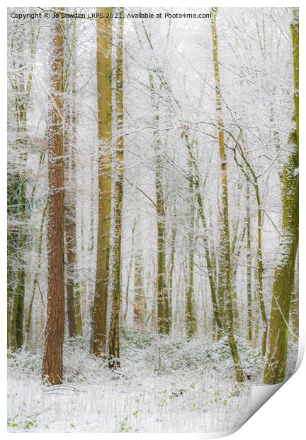 Snowy Woodland, Hertfordshire Print by Jo Sowden