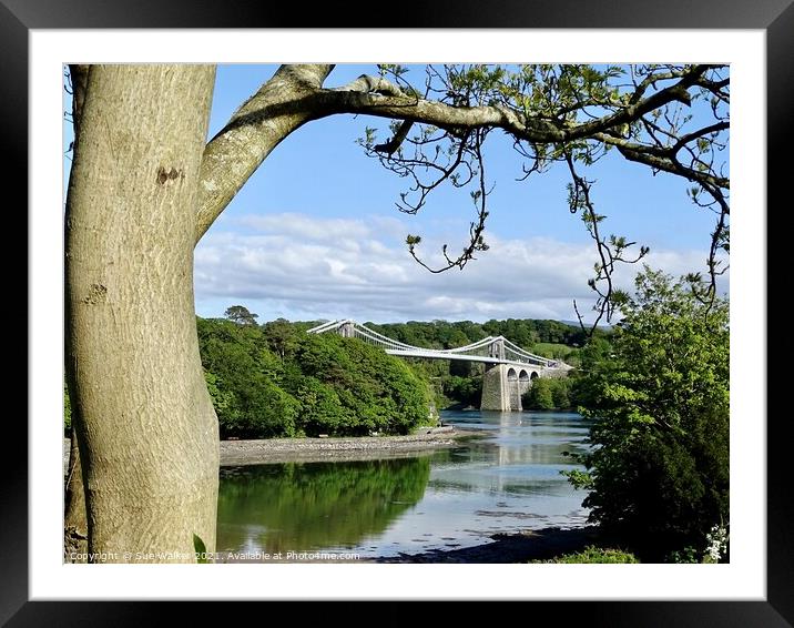 Menai Bridge, Anglesey Framed Mounted Print by Sue Walker