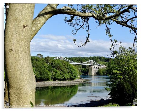 Menai Bridge, Anglesey Acrylic by Sue Walker