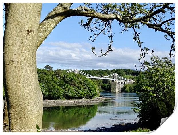 Menai Bridge, Anglesey Print by Sue Walker