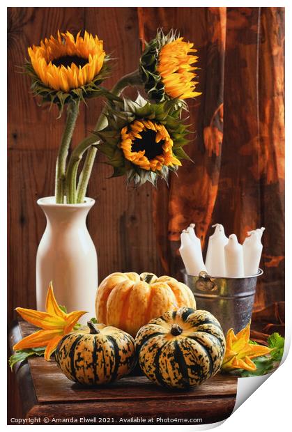 Sunflower & Gourds Still Life Print by Amanda Elwell