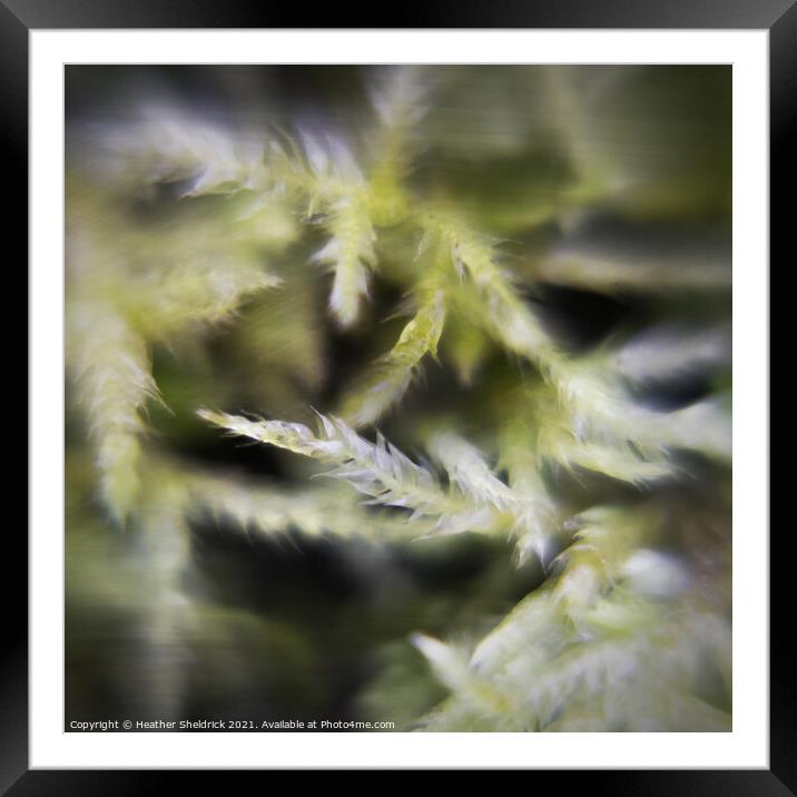 Calming Abstract Moss  Framed Mounted Print by Heather Sheldrick