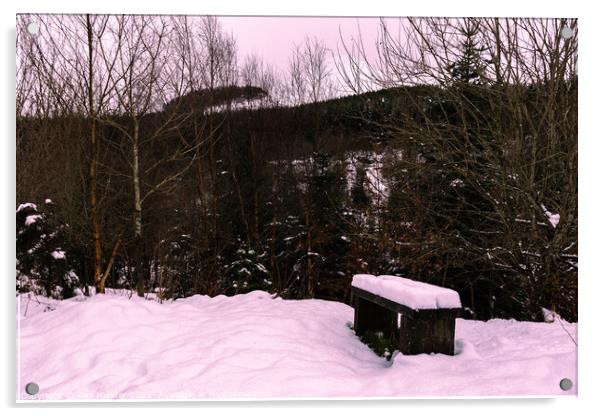 Snow Bench Acrylic by Ken Hunter