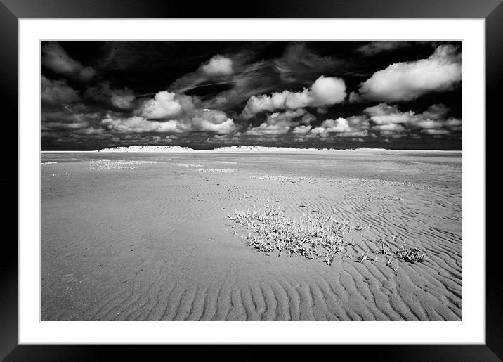 Lonely Framed Mounted Print by Stephen Mole