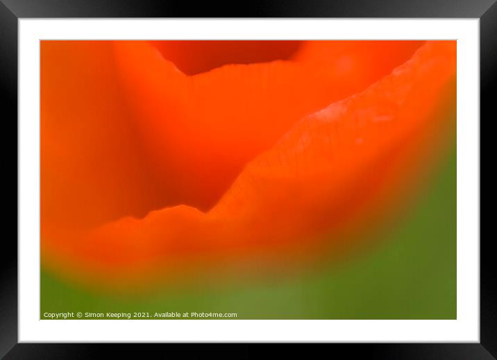 ABSTRACT POPPY FLOWER Framed Mounted Print by Simon Keeping
