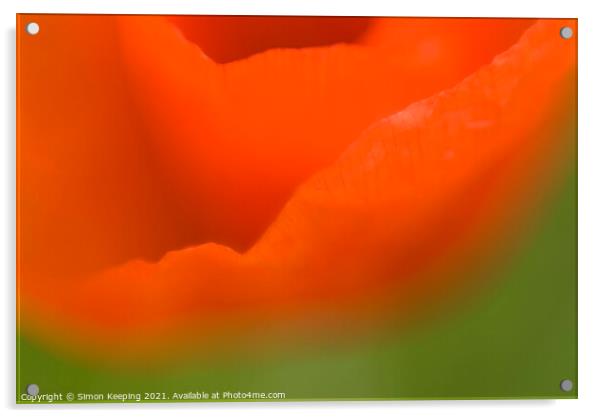ABSTRACT POPPY FLOWER Acrylic by Simon Keeping