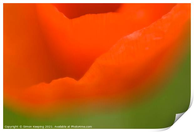 ABSTRACT POPPY FLOWER Print by Simon Keeping