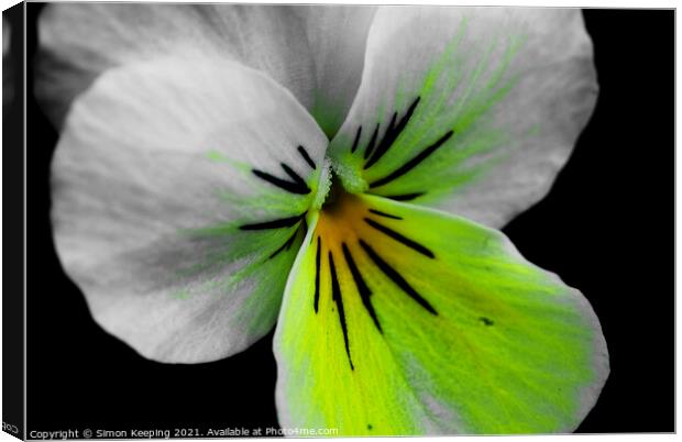 ABSTRACT PANSY Canvas Print by Simon Keeping