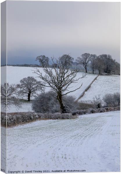 Rural Snowy Landscape Canvas Print by David Tinsley