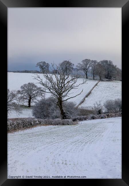 Rural Snowy Landscape Framed Print by David Tinsley